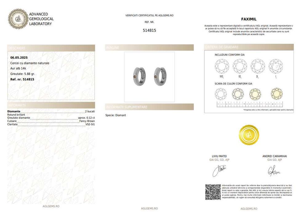 Pereche de cercei din aur alb, decorată cu diamante fancy brown