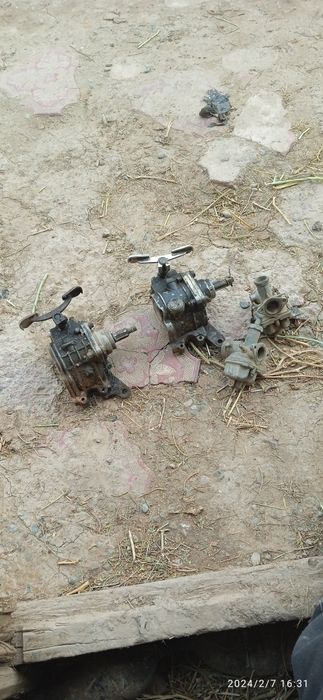 Murabbiy tenglon sotiladi