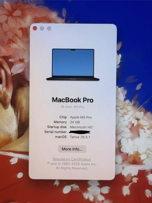 MacBook Pro 16” M5 Pro/24GB/1TB в идеале