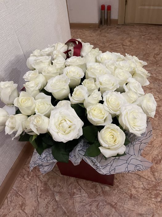 Цветы роза свежие