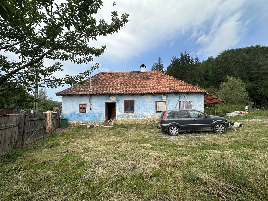 Casa traditionala la Valea Zalanului