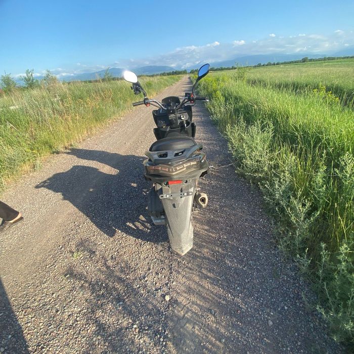 Макси WANGIA матор