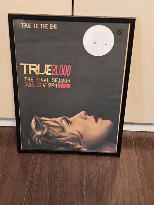Постери  True blood, The vampire diariess, Psycho, Leon