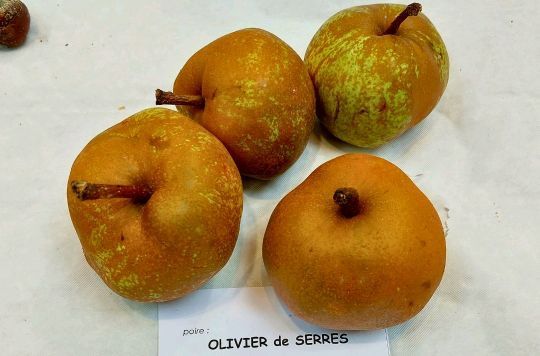 Par (Oliver De Serres )