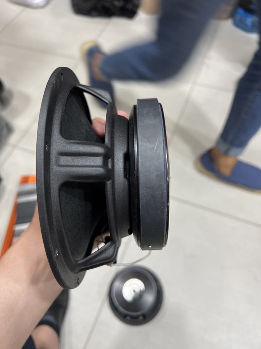 Ideal kalonka apocalypse