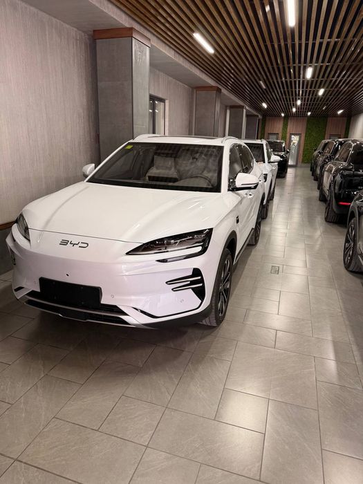 Byd chempion smart 2026 model