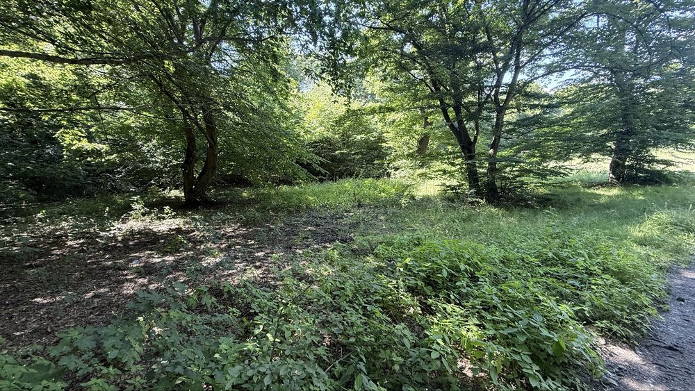Teren de vanzare intravilan Cluj zona Uliului Grigorescu/ schimburi