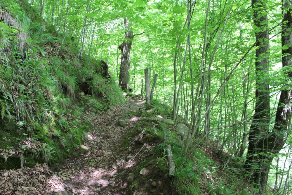 Vand cabana pe Valea Sebesului