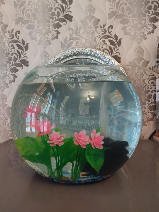 Аквариум круглый 10 литр