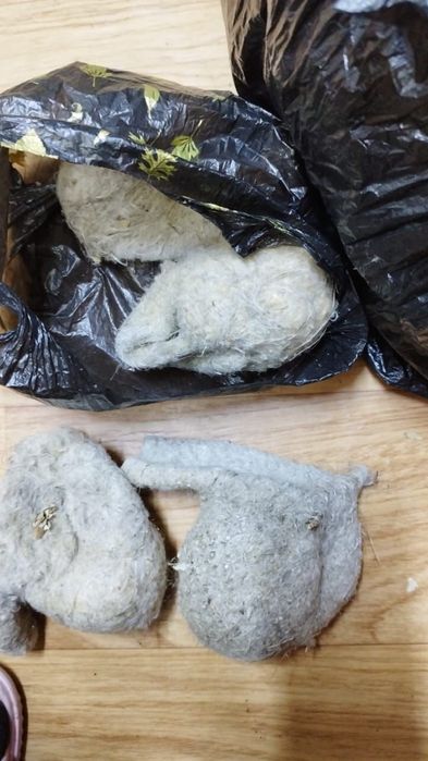 Құрқылтайдың ұясы сатылады