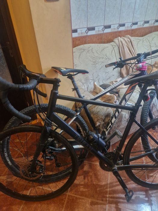 Cursiera triban rc 500