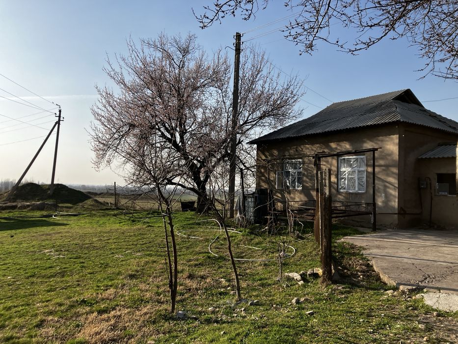 Уй сотилади 6+6+10=22 соток