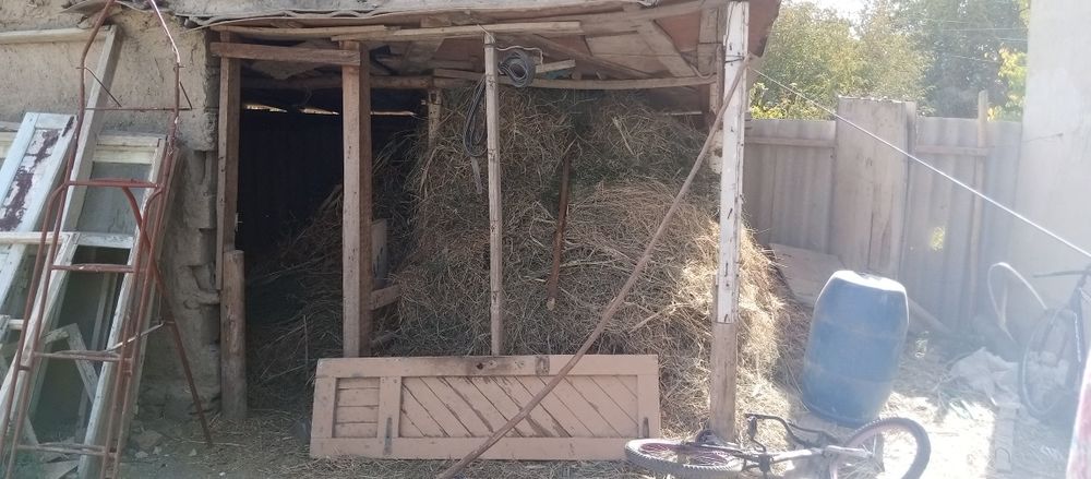 Asalomu aleykum Em hashak ut