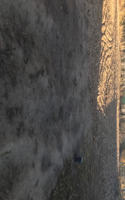 uchastka sotiladi 6 sotih 3 mingdan