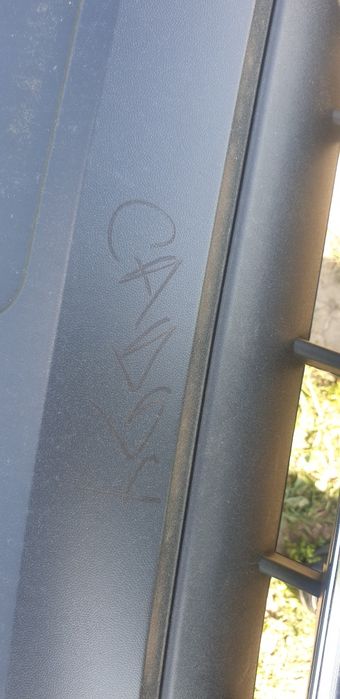 Bara fata caddy an 2017