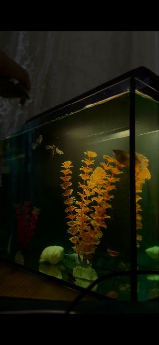 Аквариум 30 литр