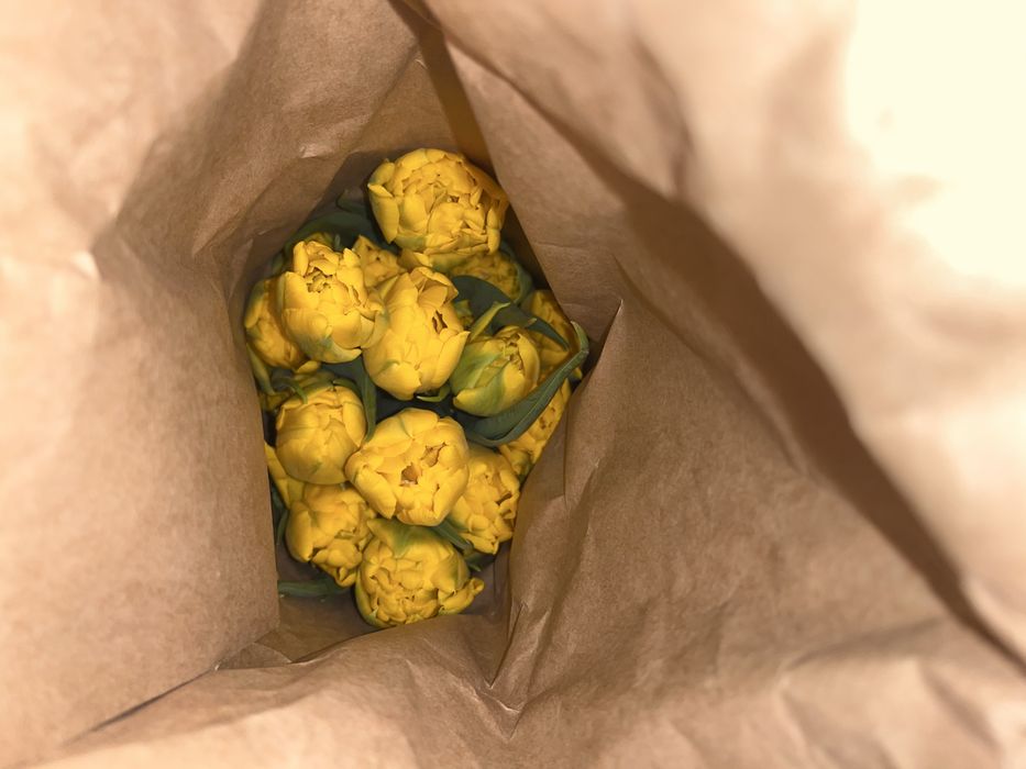 Тюльпаны оптом и в розницу