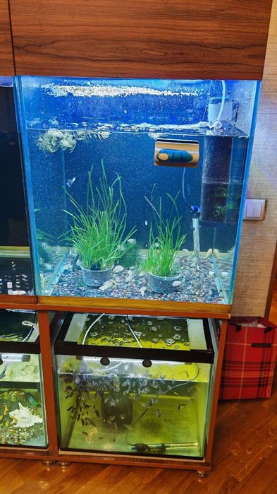 Продаётся аквариумная мини ферма.