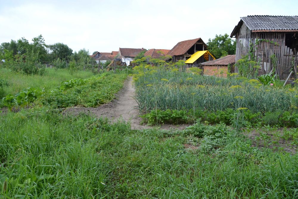 De vânzare casă + loc de casă în comuna Cărand, județul Arad