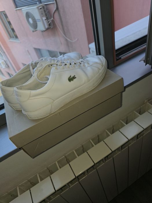 Кецове Lacoste 43