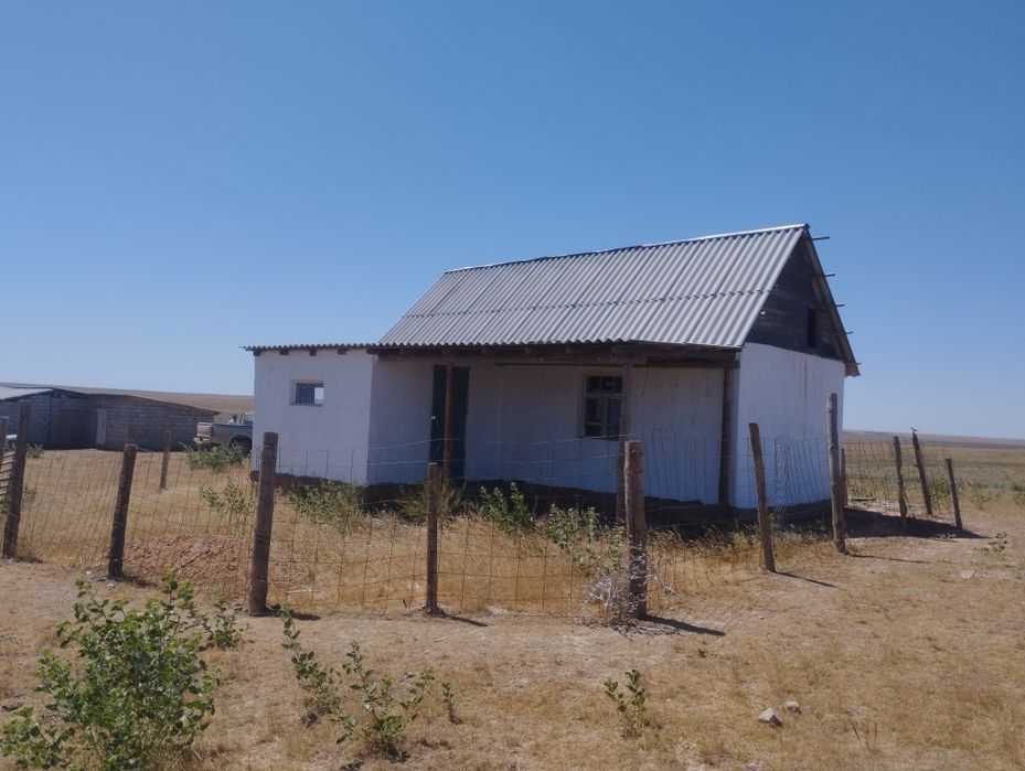 Кой кора сатылаты Уй сатылады