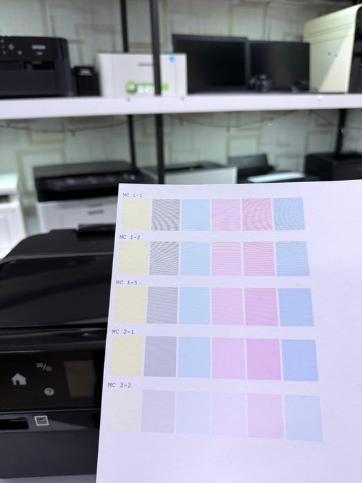 Epson L810. Цветной принтер
