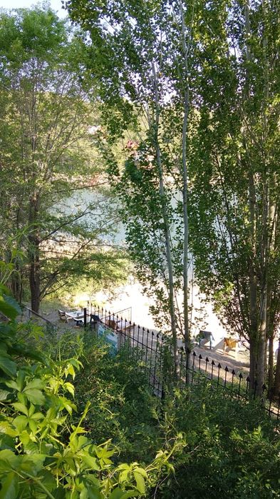 Дом на берегу Бухтармы. Посуточно. До 15 человек