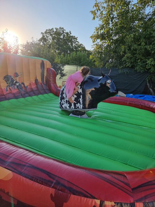 Taur Mecanic, Tobogane gonflabile de inchiriat ( topogan )