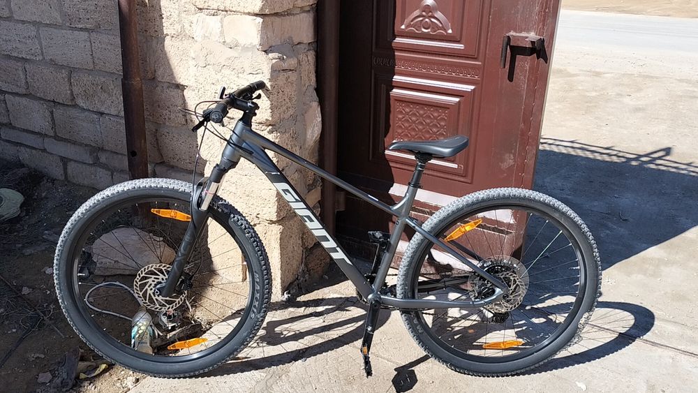 Gaint talon 1 2025