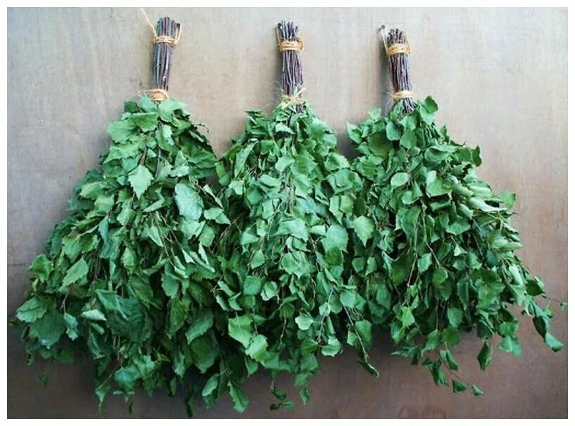 Веники березовые для бани