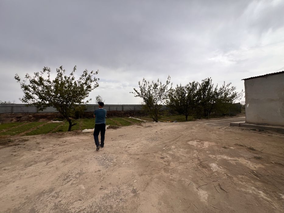 Ferma tayyor (xo’jalik)