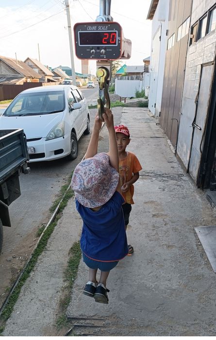 Весы для крана 5000 кг