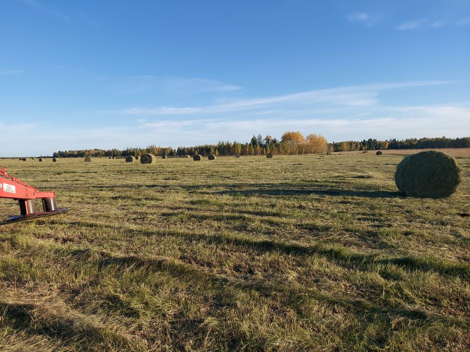 Пастбище 1900 га