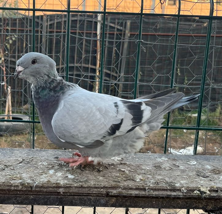 Lot disponibil ptr case noi