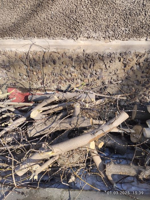 Дрова бесплатно самовывоз