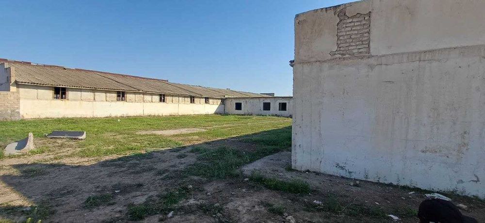 Noturar bino sotiladi