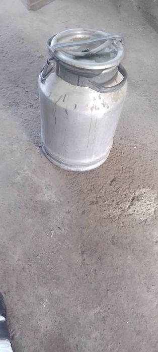 Vilak sotilade 35 letr xolade yaxshe yog'neke  300000 so'm  keleshtere