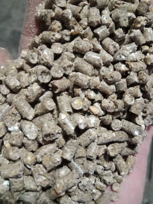 Гранулированный витаминизированный корм