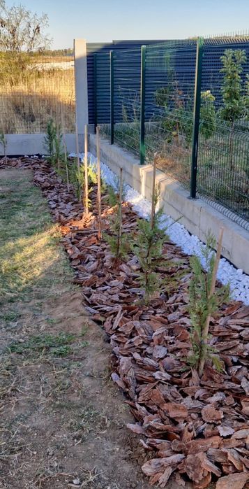 Mулч дебели големи борови кори