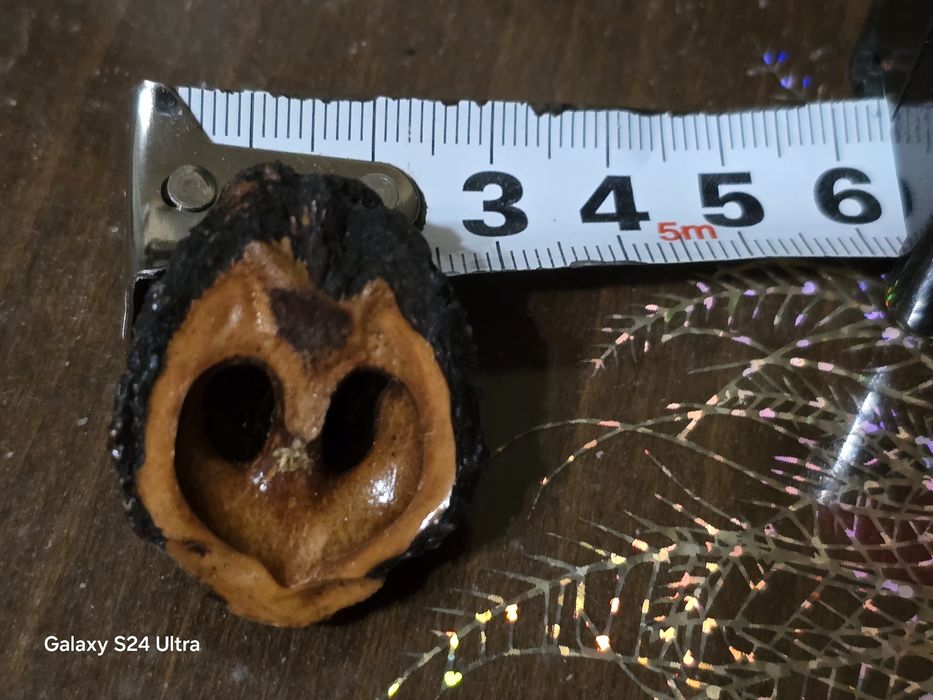 Естествени материали за декорация