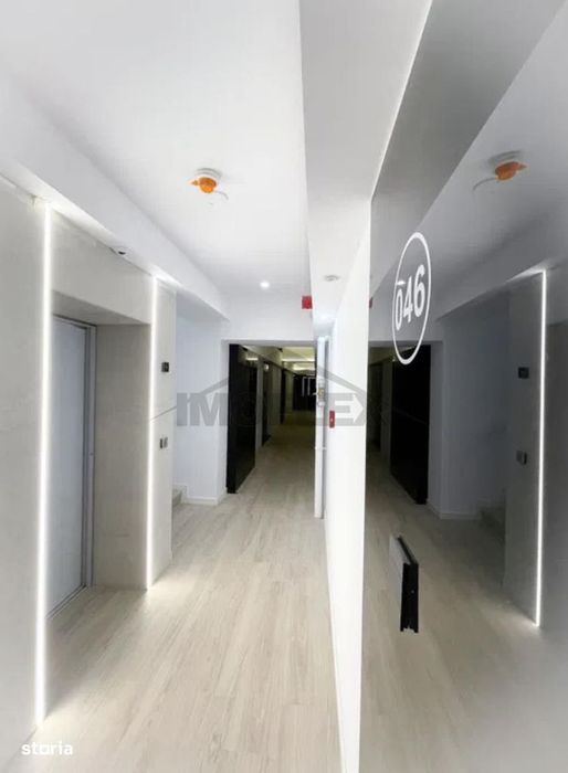 Cortina North - Studio - Pipera