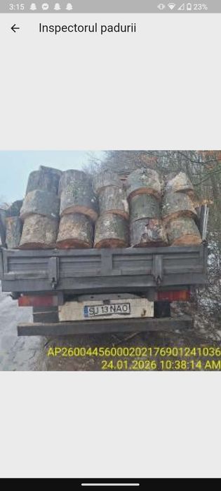 Lemne de vanzare județul salaj