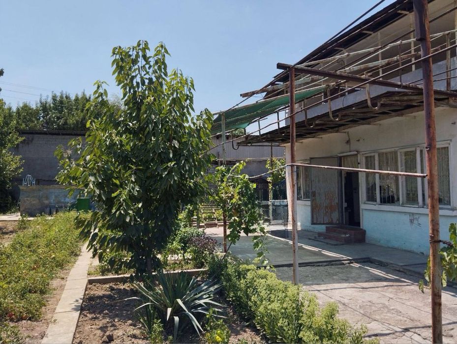Продается Дача, Паркент -Нилюфар