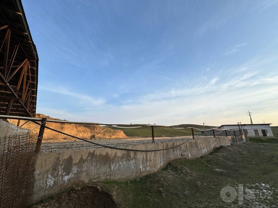 Тошкент вилояти, Бустонлик тумани, Кораманас махалласи, 
1,0 гектар ка