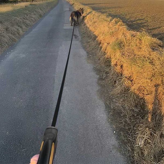 Автоматична прибираща се каишка за кучета, до 50 кг, 8 м