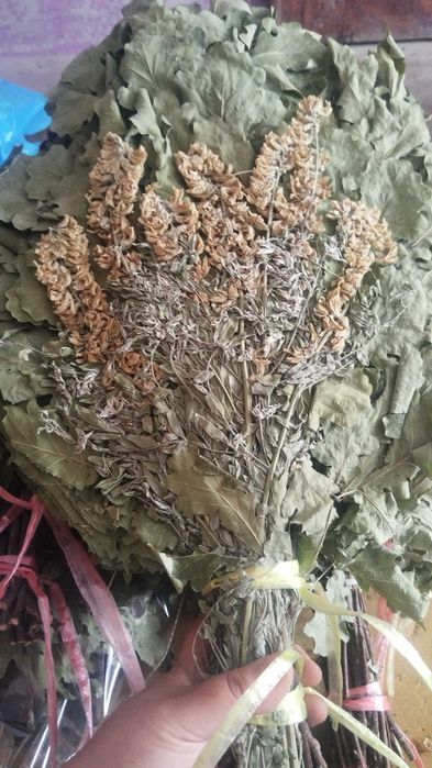 Веники и лечебные травы