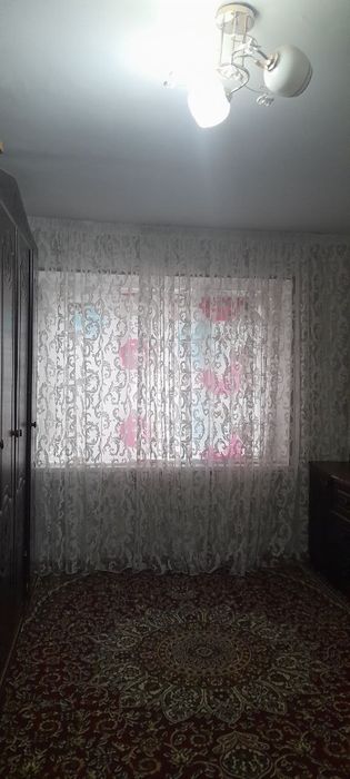 Uy troyiskida joylashgan waroitlar juda zoʻr