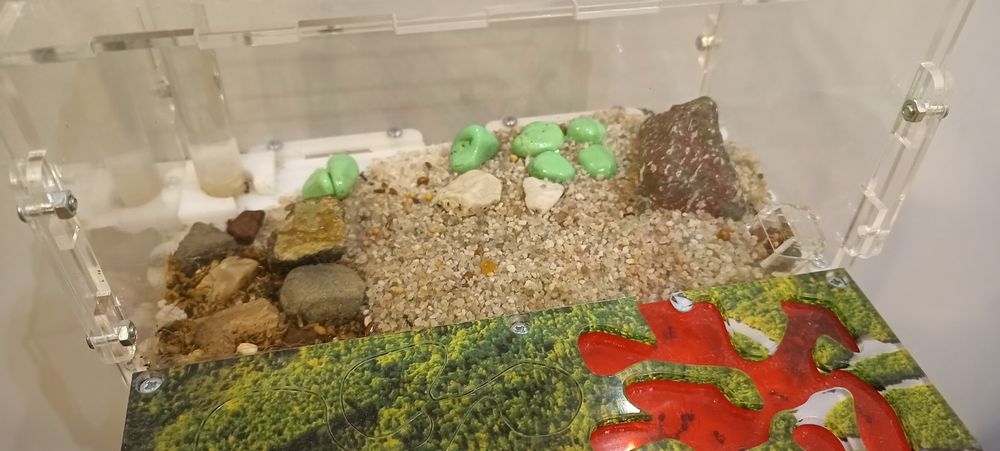 Муравьиная ферма Мини Лес ID017