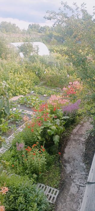 Просторная дача, район Федоровки