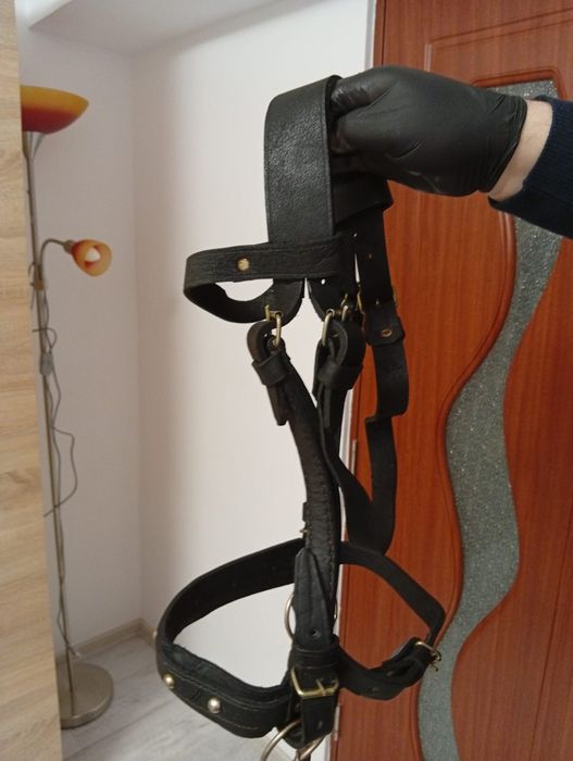 Vând accesorii calarie